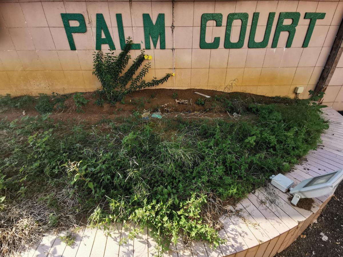Diy Palm Court Bedroom Kuantan Eksteriør bilde